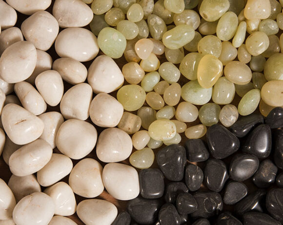 Landscaping Industry Theme. Newly Built Backyard Garden Drip Irrigation System.