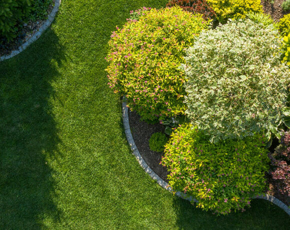 Landscaping Industry Theme. Newly Built Backyard Garden Drip Irrigation System.