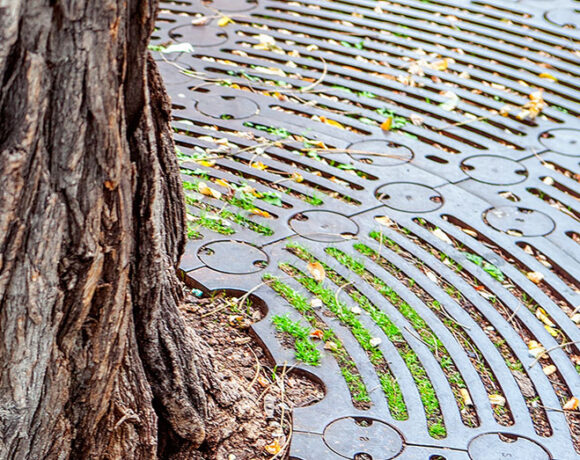 Landscaping Industry Theme. Newly Built Backyard Garden Drip Irrigation System.