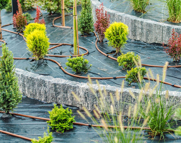 Landscaping Industry Theme. Newly Built Backyard Garden Drip Irrigation System.