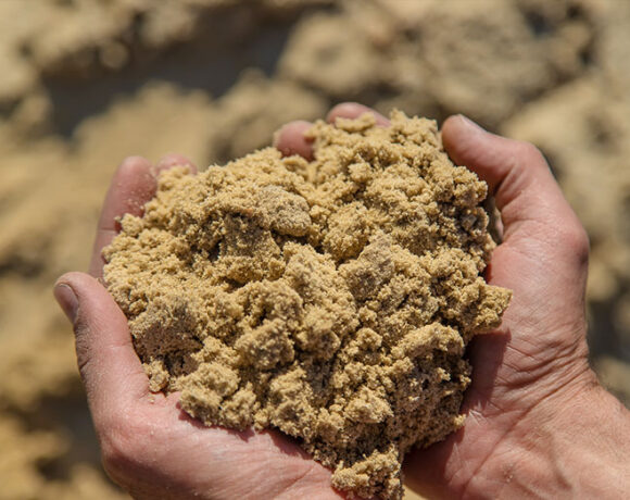 Landscaping Industry Theme. Newly Built Backyard Garden Drip Irrigation System.