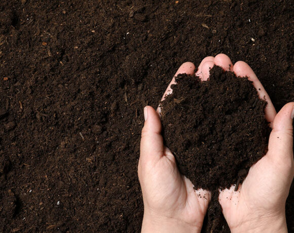 Landscaping Industry Theme. Newly Built Backyard Garden Drip Irrigation System.