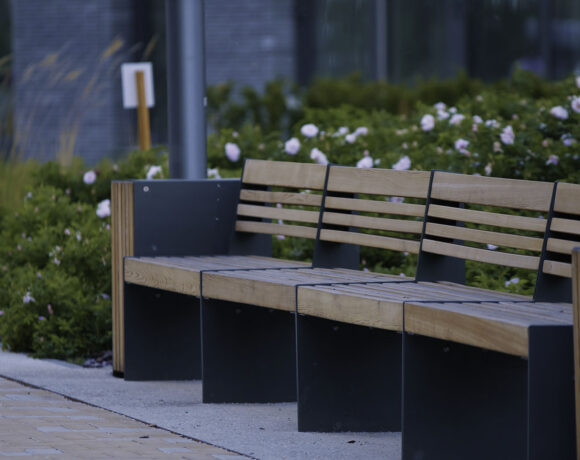 A place of rest.Stock footage.Small benches in the park behind which white flowers grow in flower beds. High quality 4k footage